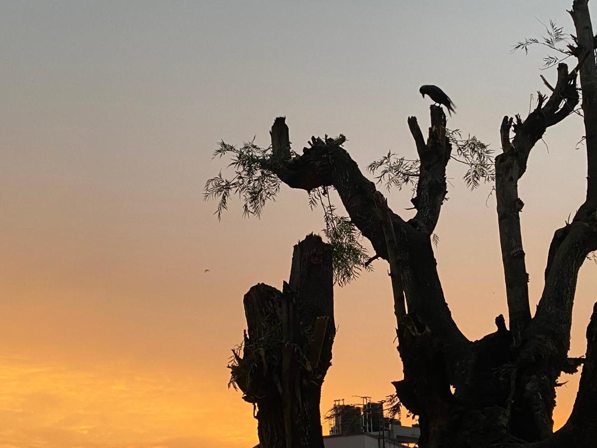Birds Nest Hostel กาฐมาณฑุ ภายนอก รูปภาพ